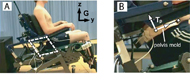 A: Adjustable and instrumented simulator chair containing the concept for independent pelvic rotation. G defines the global reference frame. B: Pelvis mold (PM) with reflective markers. The local pelvis frame (Tp) was constructed from reflective markers and defined pelvic orientation.